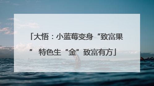 大悟：小蓝莓变身“致富果” 特色生“金”致富有方