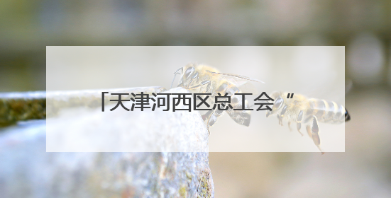 天津河西区总工会“清凉茶摊”为户外劳动者撑起“绿荫”
