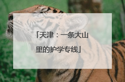 天津：一条大山里的护学专线