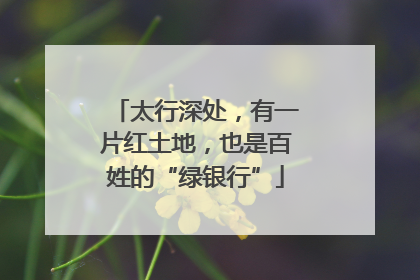 太行深处，有一片红土地，也是百姓的“绿银行”