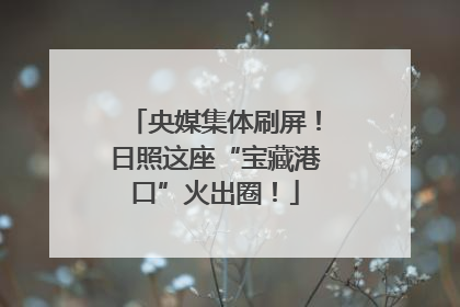 央媒集体刷屏！日照这座“宝藏港口”火出圈！
