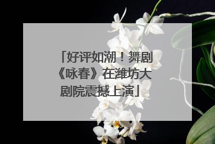 好评如潮！舞剧《咏春》在潍坊大剧院震撼上演