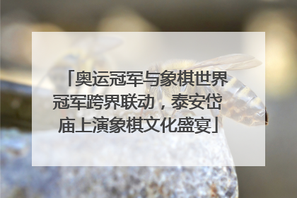 奥运冠军与象棋世界冠军跨界联动，泰安岱庙上演象棋文化盛宴