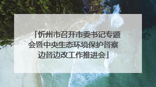 忻州市召开市委书记专题会暨中央生态环境保护督察边督边改工作推进会
