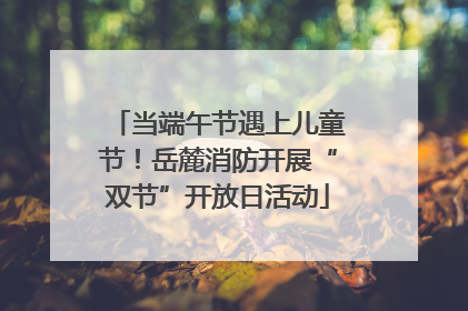 当端午节遇上儿童节！岳麓消防开展“双节”开放日活动