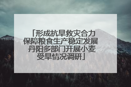 形成抗旱救灾合力 保障粮食生产稳定发展 丹阳多部门开展小麦受旱情况调研