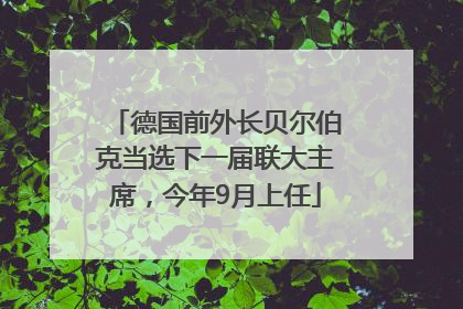 德国前外长贝尔伯克当选下一届联大主席，今年9月上任