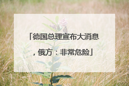 德国总理宣布大消息，俄方：非常危险