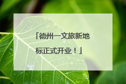 德州一文旅新地标正式开业！