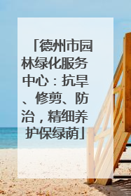 德州市园林绿化服务中心：抗旱、修剪、防治，精细养护保绿荫