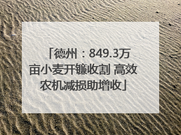 德州：849.3万亩小麦开镰收割 高效农机减损助增收