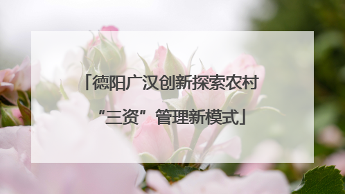 德阳广汉创新探索农村“三资”管理新模式