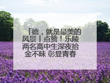 德，就是最美的风景丨点赞！乐陵两名高中生深夜拾金不昧 彰显青春正能量