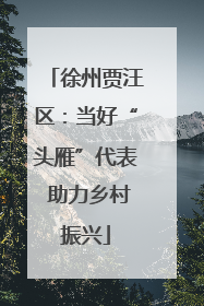 徐州贾汪区：当好“头雁”代表 助力乡村振兴