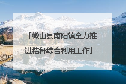 微山县南阳镇全力推进秸秆综合利用工作