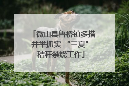 微山县鲁桥镇多措并举抓实 “三夏” 秸秆禁烧工作