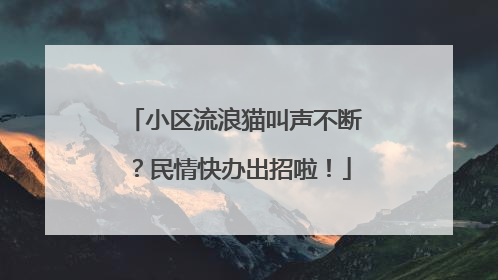 小区流浪猫叫声不断？民情快办出招啦！