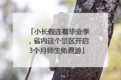 小长假连着毕业季，省内这个景区开启3个月师生免费游