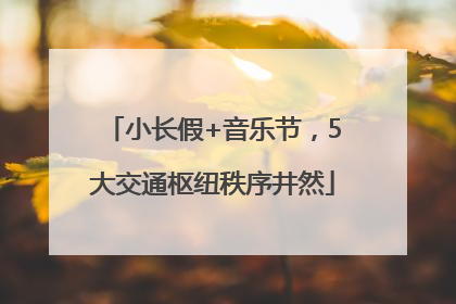 小长假+音乐节，5大交通枢纽秩序井然