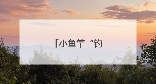 小鱼竿“钓”起大产业