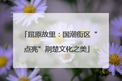 屈原故里：国潮街区“点亮”荆楚文化之美
