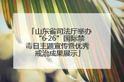 山东省司法厅举办“6·26”国际禁毒日主题宣传暨优秀戒治成果展示
