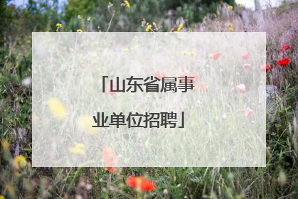 山东省属事业单位招聘
