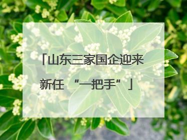 山东三家国企迎来新任 “一把手”