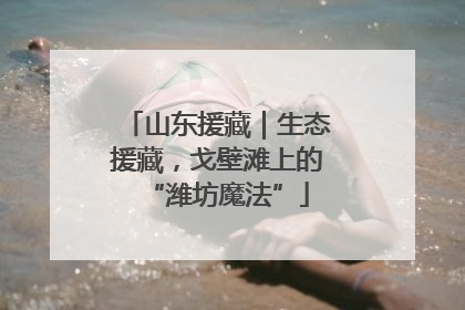 山东援藏｜生态援藏，戈壁滩上的“潍坊魔法”
