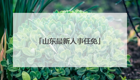 山东最新人事任免