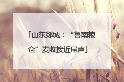 山东郯城：“鲁南粮仓”麦收接近尾声