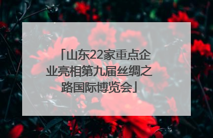 山东22家重点企业亮相第九届丝绸之路国际博览会