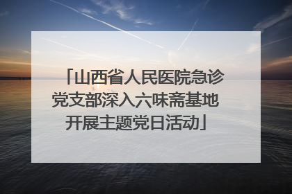 山西省人民医院急诊党支部深入六味斋基地开展主题党日活动