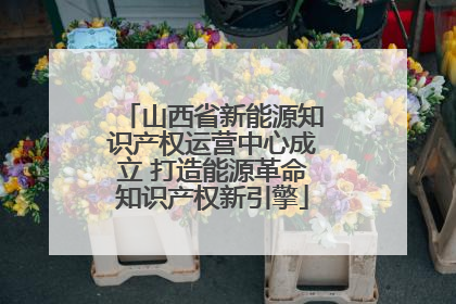 山西省新能源知识产权运营中心成立 打造能源革命知识产权新引擎