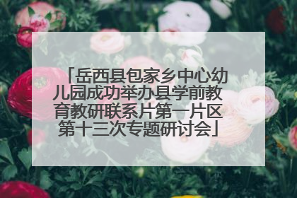 岳西县包家乡中心幼儿园成功举办县学前教育教研联系片第一片区第十三次专题研讨会