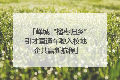 峄城“榴枣归乡”引才直通车驶入校地企共赢新航程