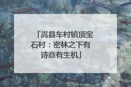 嵩县车村镇顶宝石村：密林之下有诗意有生机