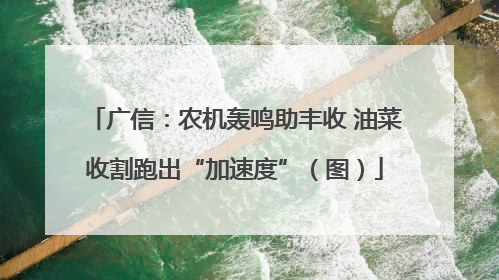 广信：农机轰鸣助丰收 油菜收割跑出“加速度”（图）