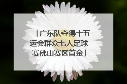 广东队夺得十五运会群众七人足球赛佛山赛区首金