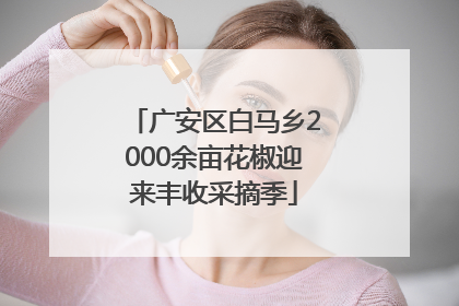 广安区白马乡2000余亩花椒迎来丰收采摘季