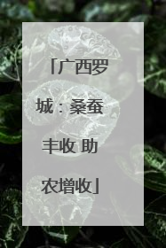 广西罗城：桑蚕丰收 助农增收