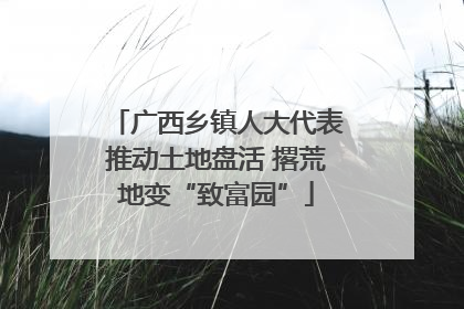 广西乡镇人大代表推动土地盘活 撂荒地变“致富园”