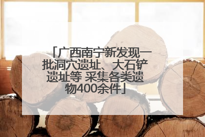 广西南宁新发现一批洞穴遗址、大石铲遗址等 采集各类遗物400余件