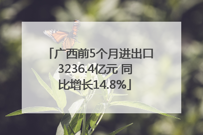 广西前5个月进出口3236.4亿元 同比增长14.8%