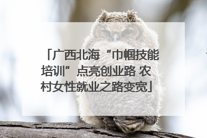 广西北海“巾帼技能培训”点亮创业路 农村女性就业之路变宽