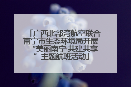 广西北部湾航空联合南宁市生态环境局开展“美丽南宁·共建共享”主题航班活动