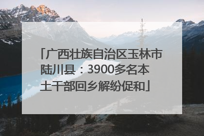 广西壮族自治区玉林市陆川县：3900多名本土干部回乡解纷促和