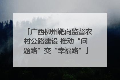 广西柳州靶向监督农村公路建设 推动“问题路”变“幸福路”