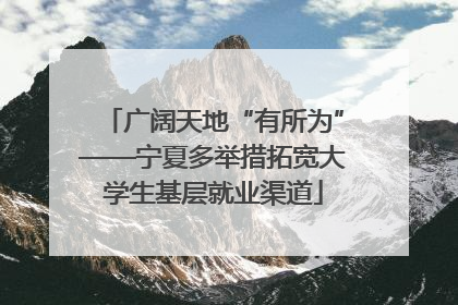 广阔天地“有所为”——宁夏多举措拓宽大学生基层就业渠道