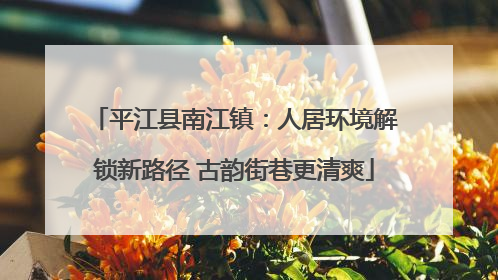 平江县南江镇：人居环境解锁新路径 古韵街巷更清爽